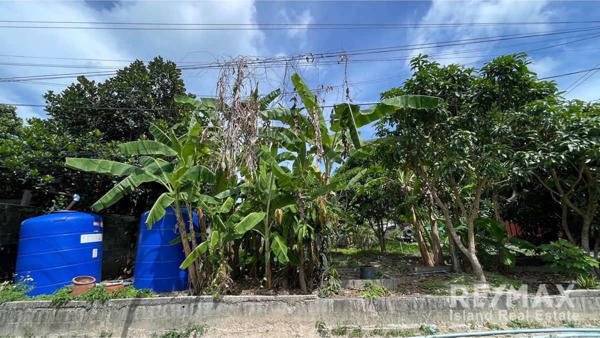  Image 6