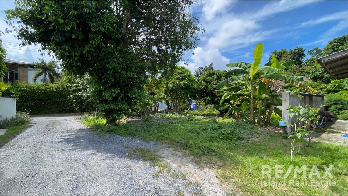  Image 6