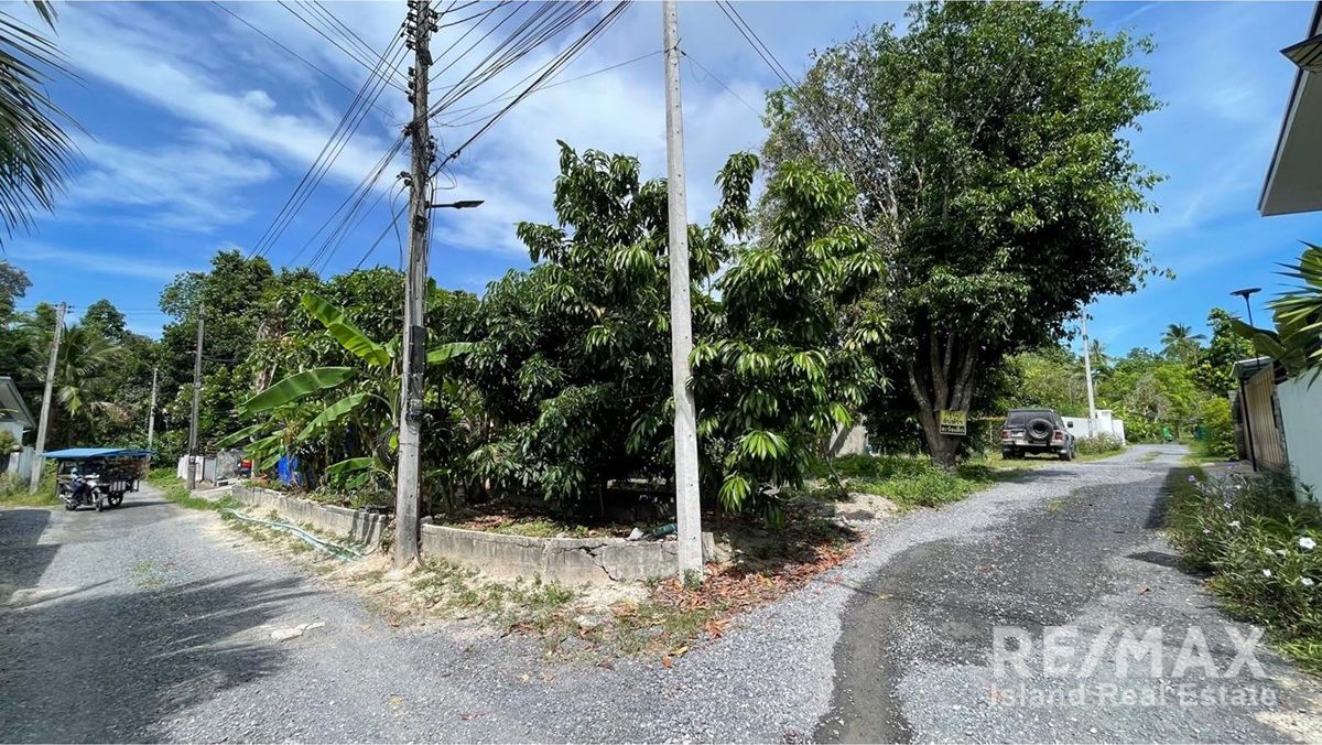  Image 7