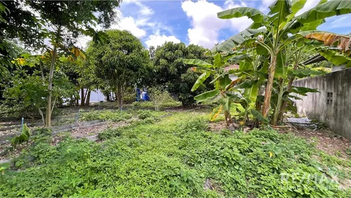 land-for-sale-just-5-mins-from-lipanoi-beach-koh-samui-cd068-104