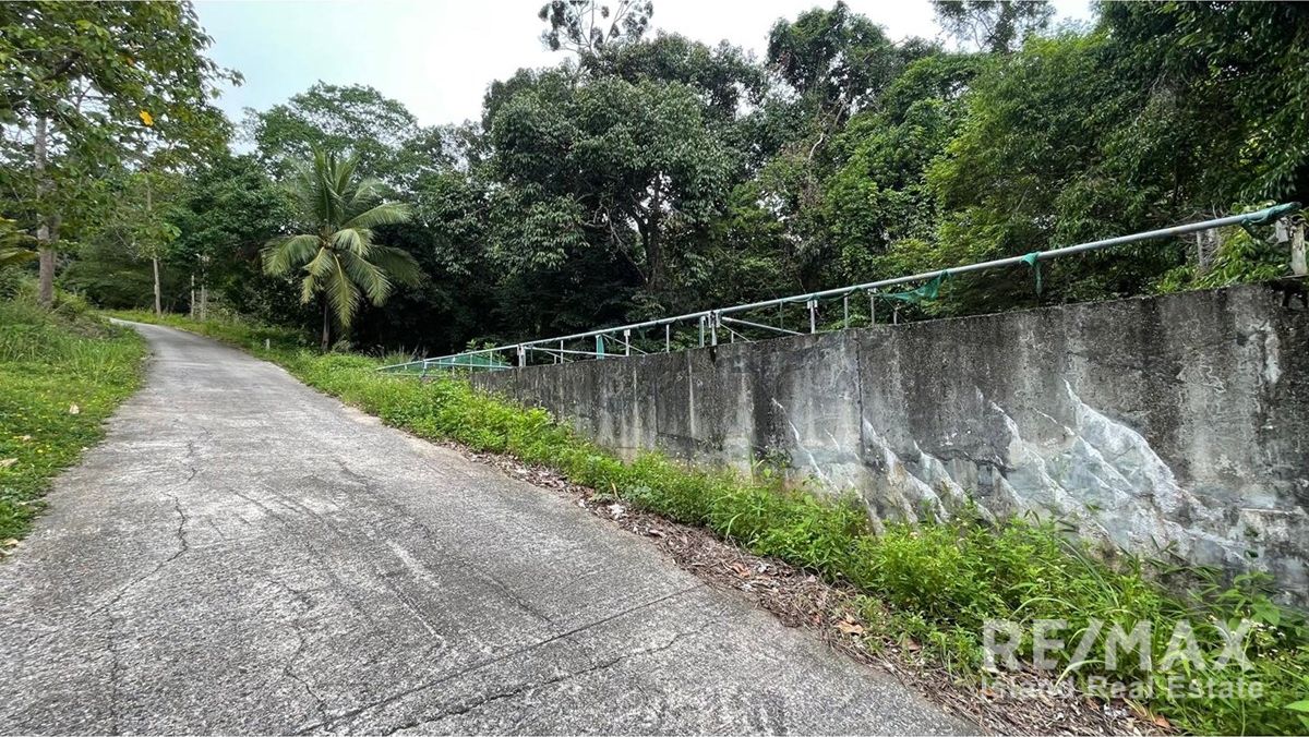  Image 8