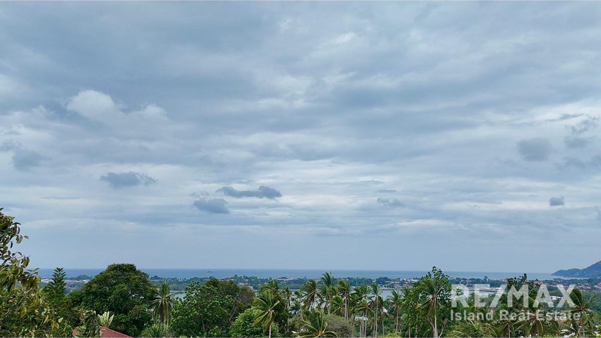  Image 19