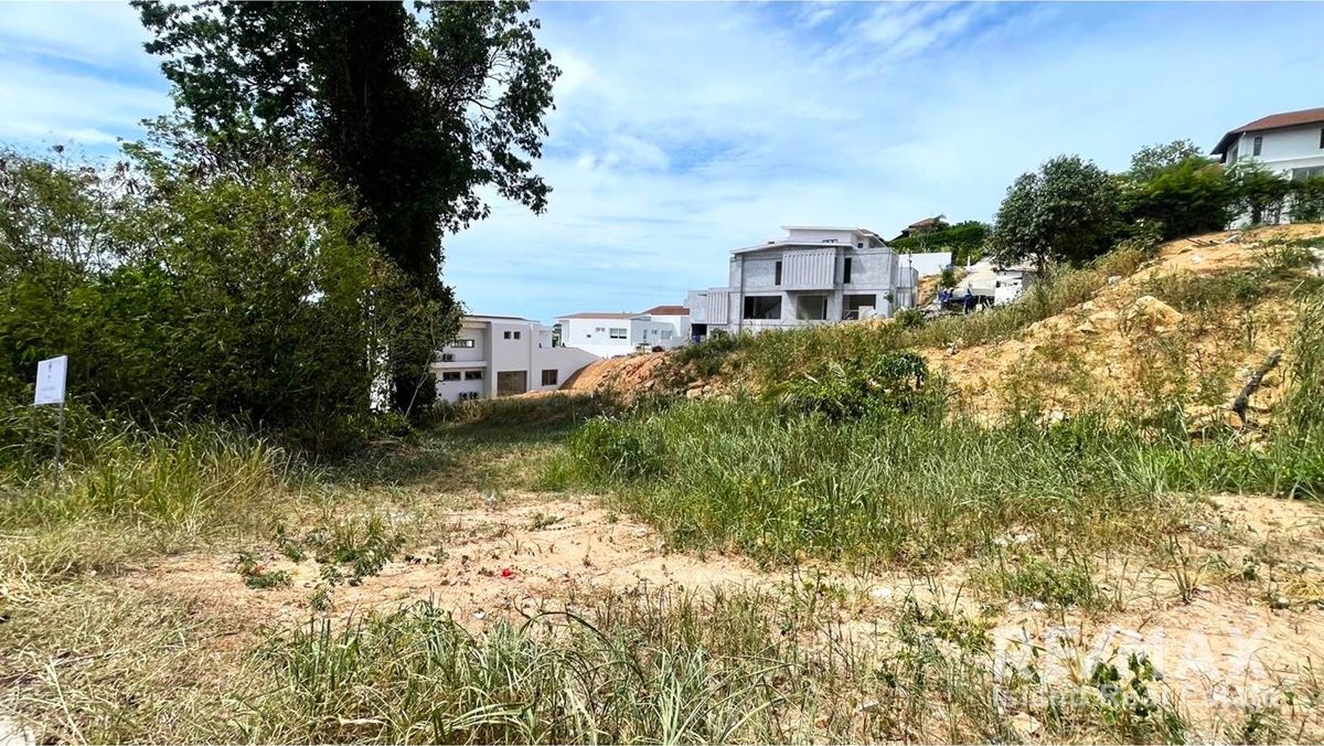  Image 4