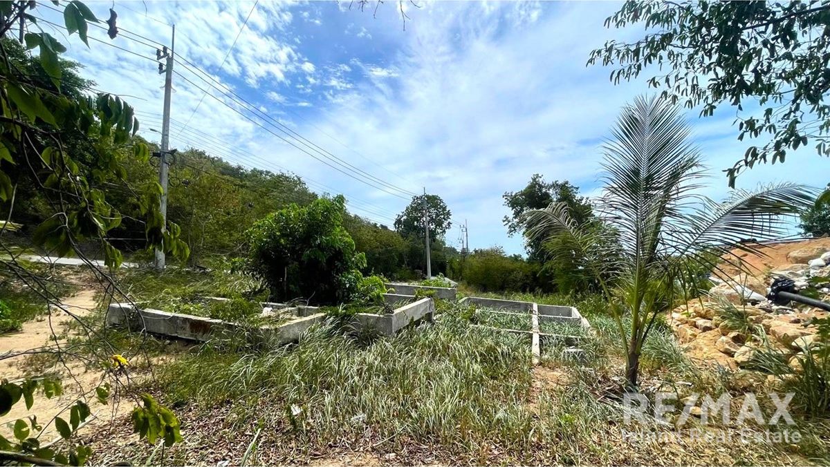  Image 7