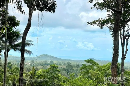 sea-view-land-in-lipa-noi-koh-samui-ideal-for-resort-or-retreat-cd068-52