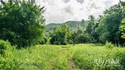 serene-coconut-grove-land-for-sale-in-lamai-koh-samui-cd068-58