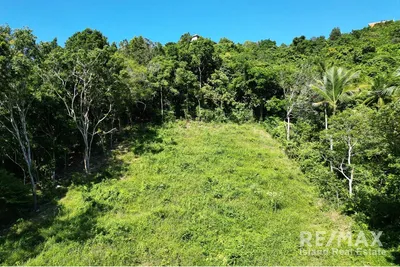 prime-land-just-700-meters-from-bangpor-beach-koh-samui-cd068-80