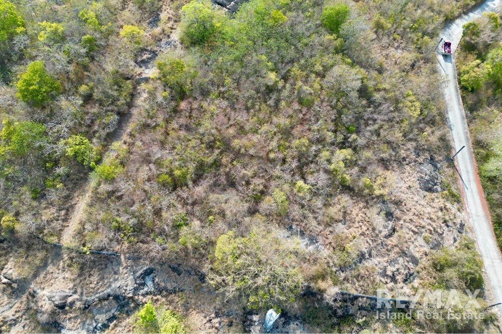  Image 6