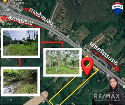 land-in-a-beautiful-location-next-to-the-main-road-sichon-surat-thani-road-with-another-8-rai-of-rubber-plantation-920121070-21