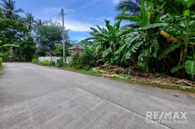 beautiful-fruit-farm-land-for-sale-in-taling-ngam-koh-samui-ps070-35e