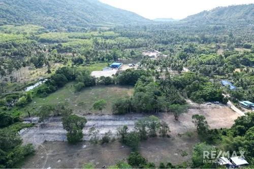 4-rai-land-in-na-mueang-koh-samui-just-5-mins-to-bang-kao-beach-tn0106