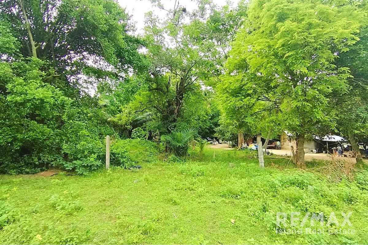  Image 12