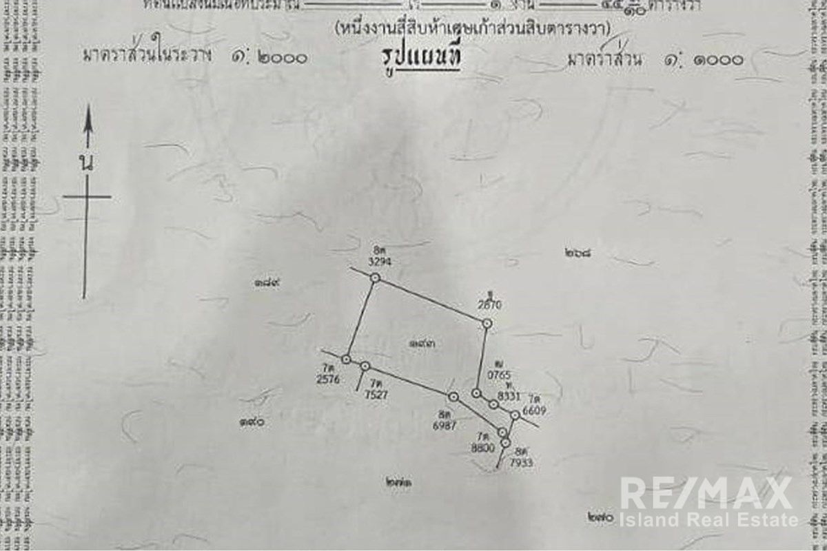  Image 6