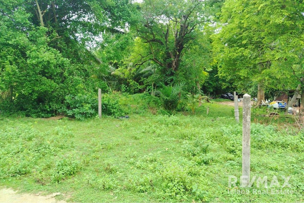 Image 13