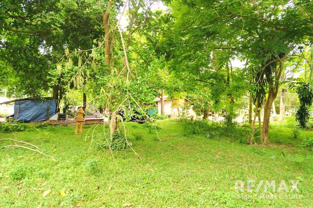 Image 7