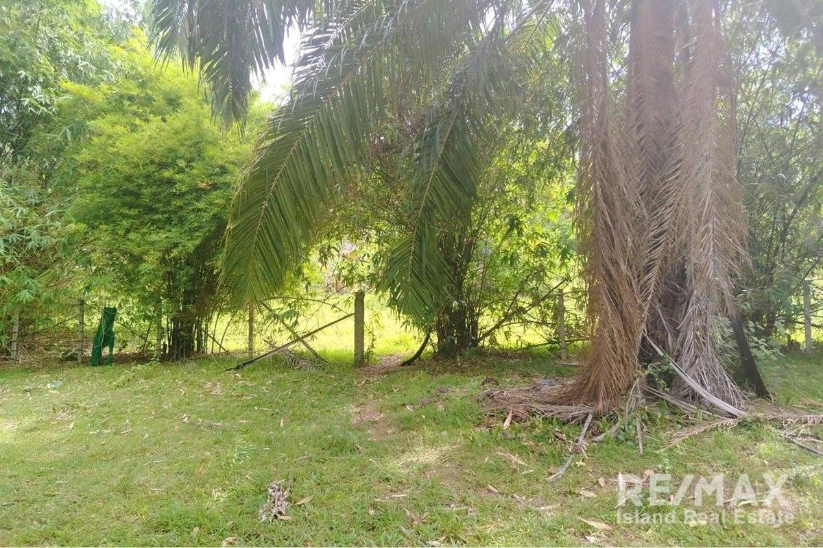 Image 11