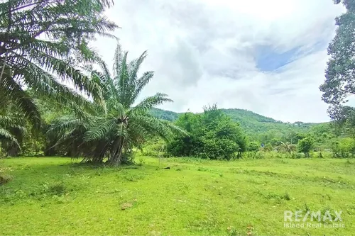 mountain-view-1-rai-land-plot-4-for-pool-villa-in-chaweng-koh-samui-tn075-124