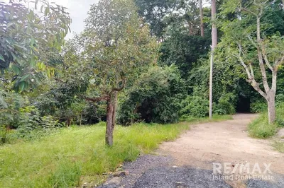 land-for-villa-development-with-fruit-trees-in-lamai-koh-samui-tn075-40