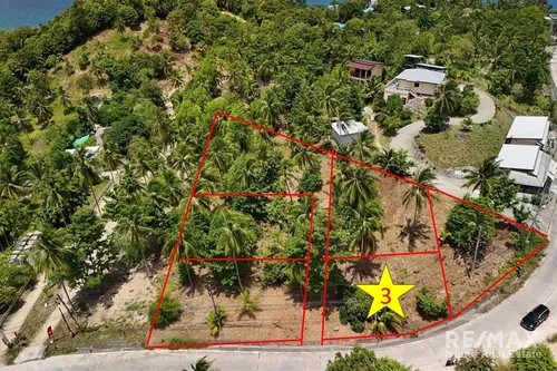 beautiful-land-with-walking-distance-to-haad-yao-beach-koh-phangan-920121075-56