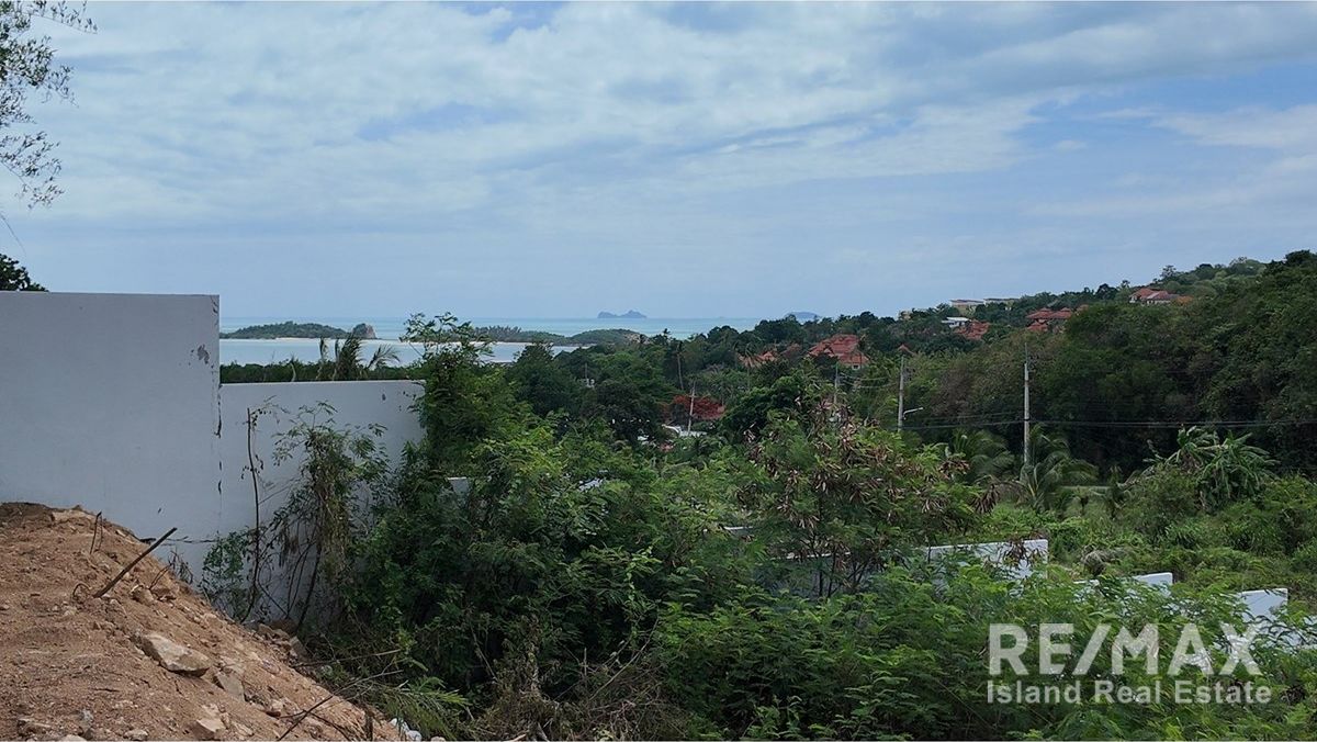  Image 11