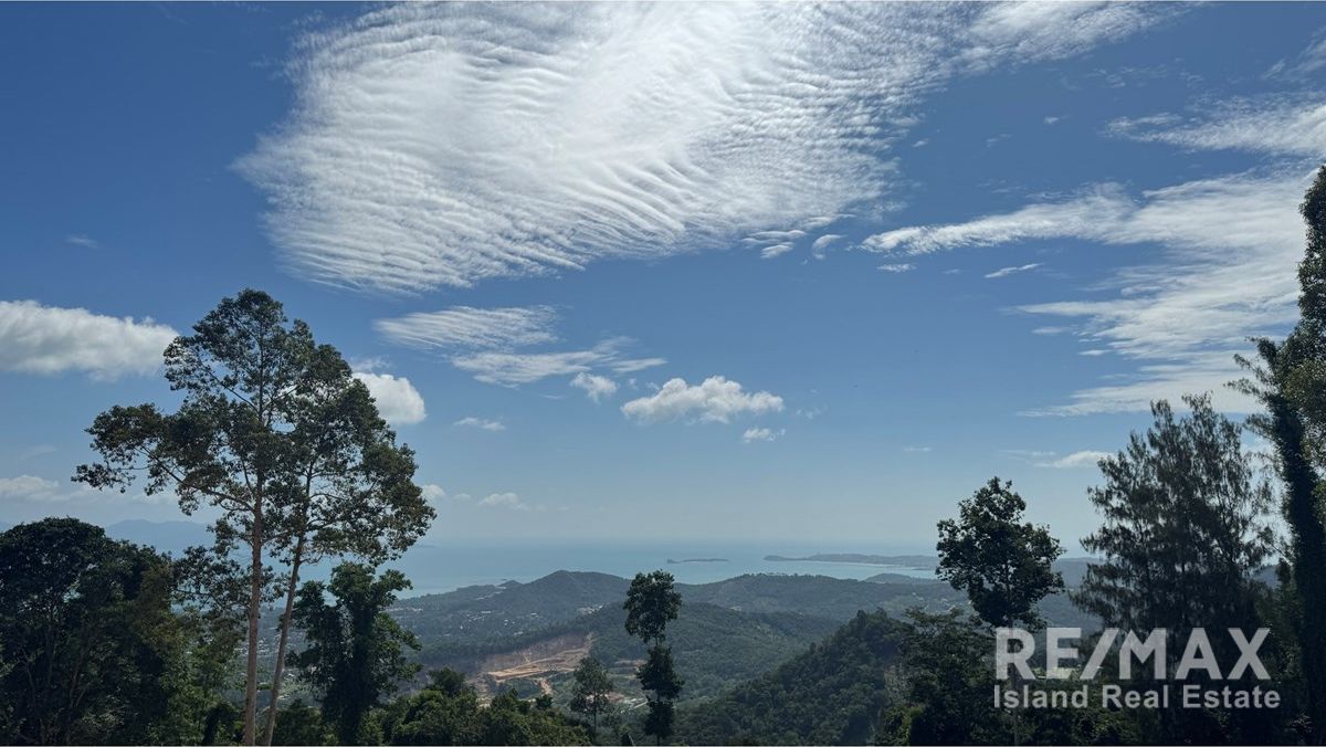  Image 6
