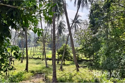 serene-flat-land-for-sale-in-ang-thong-koh-samui-re001-2389e