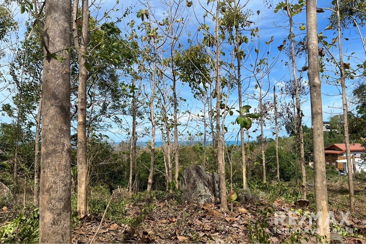  Image 10