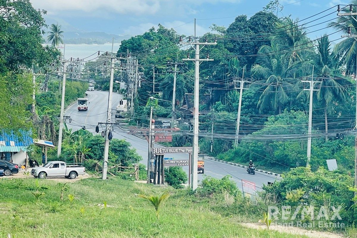  Image 15