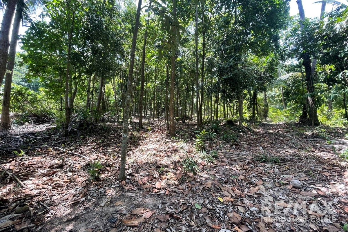  Image 5