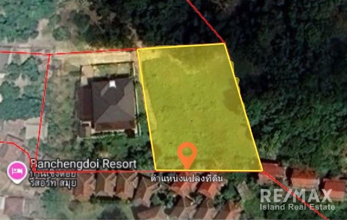 Image 4