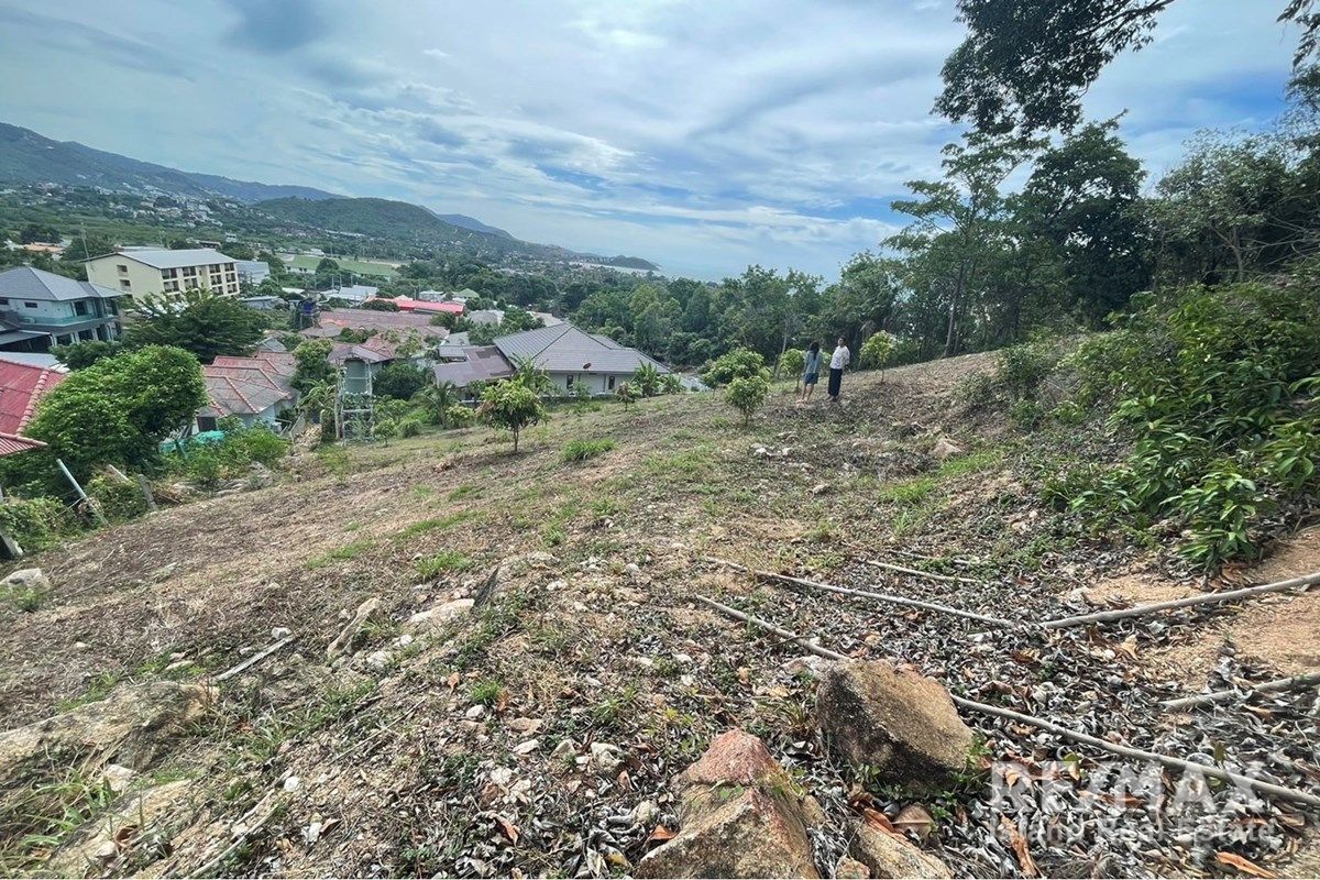  Image 6