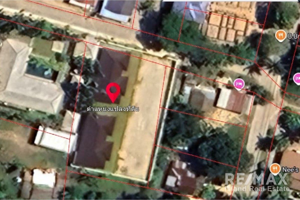  Image 4