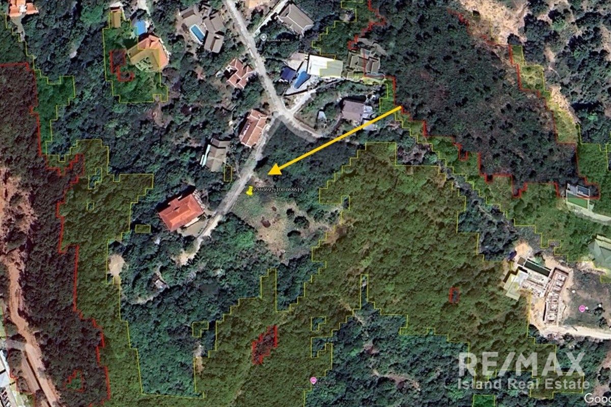  Image 4