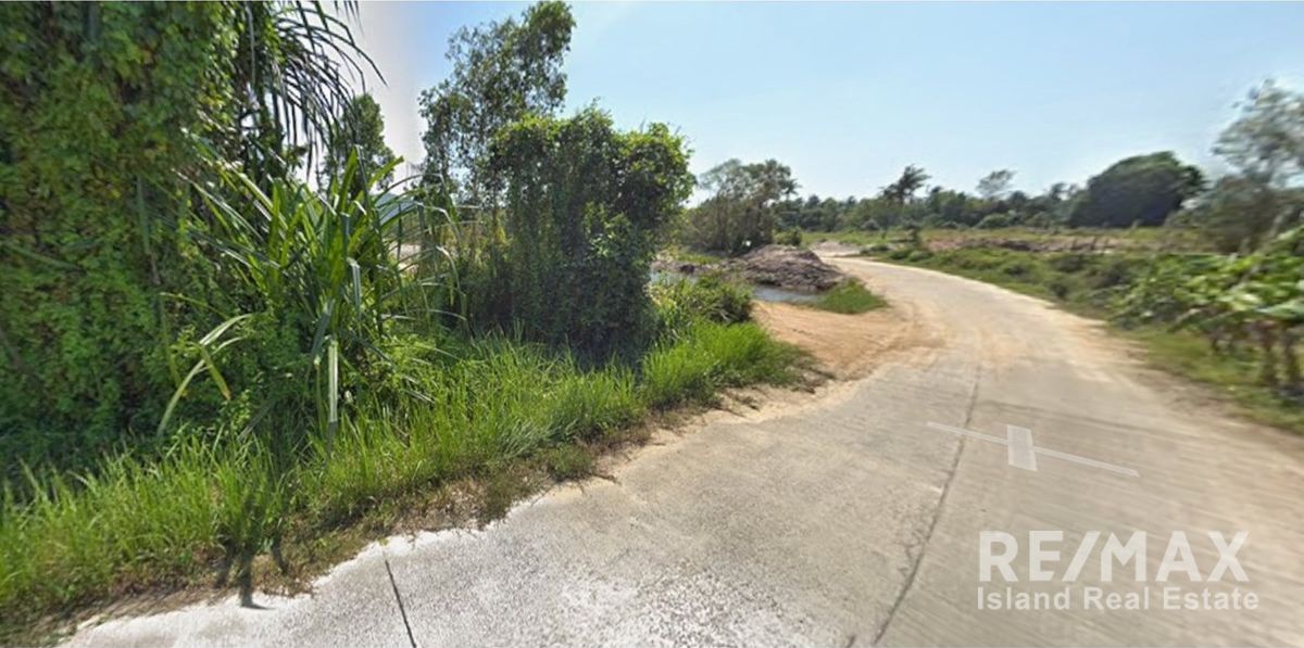 Image 6