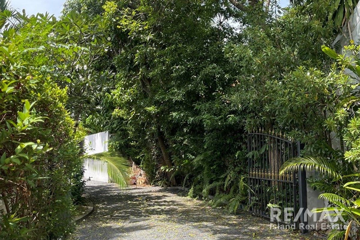  Image 4
