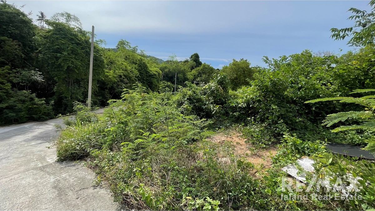  Image 11