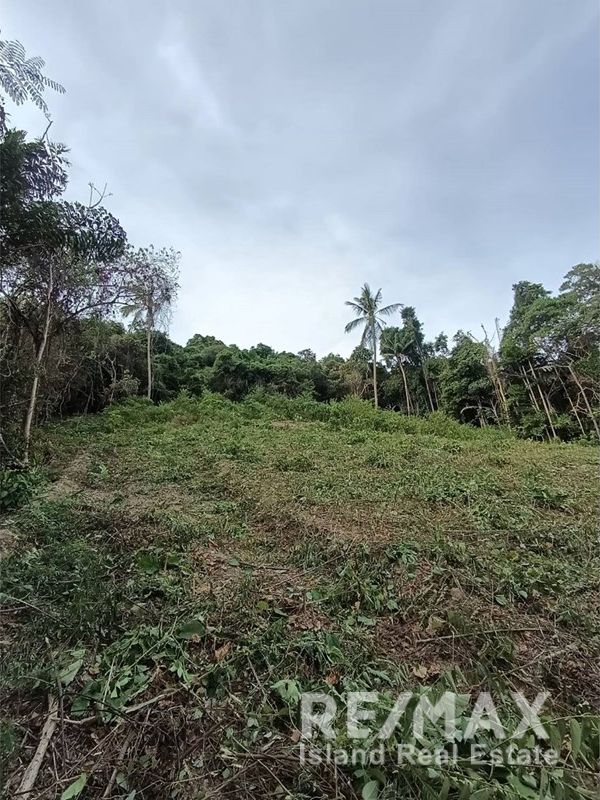  Image 10