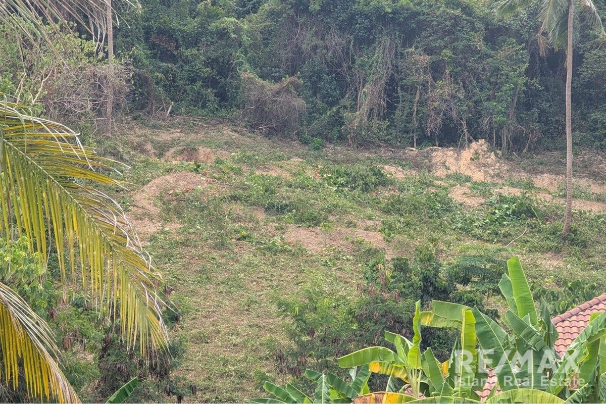  Image 6