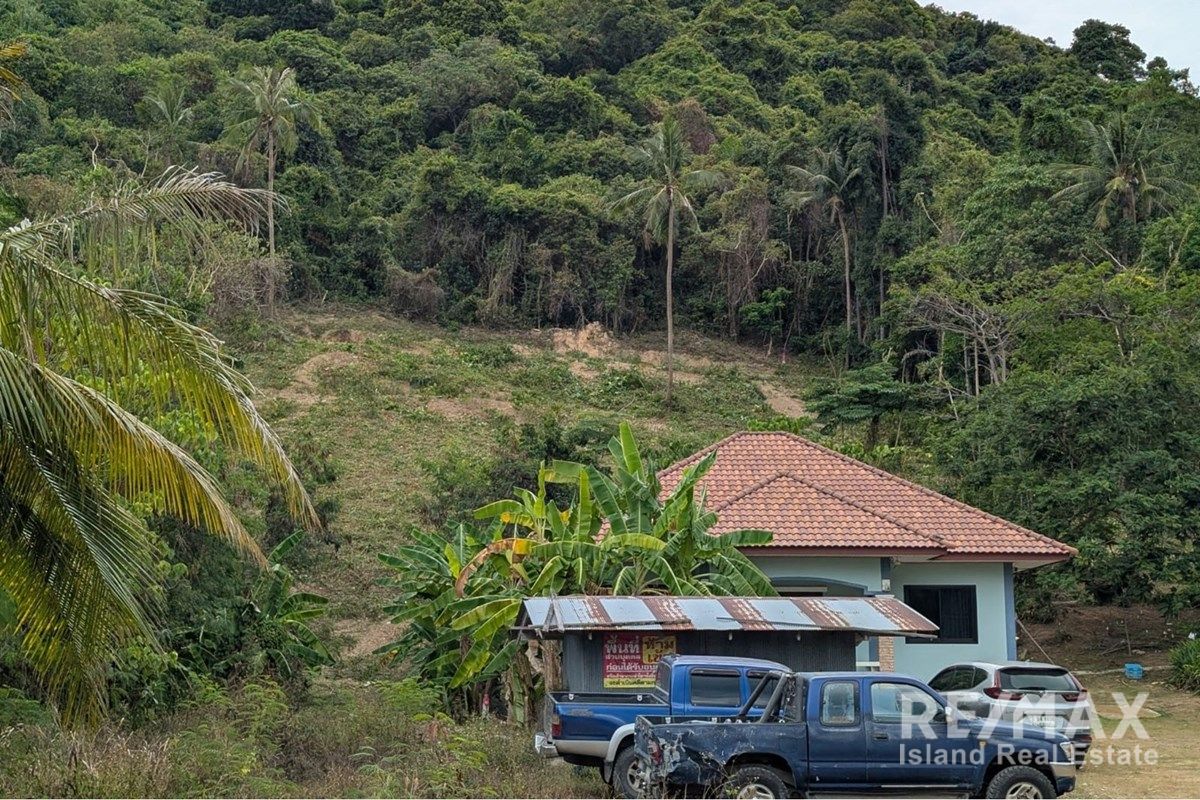  Image 6