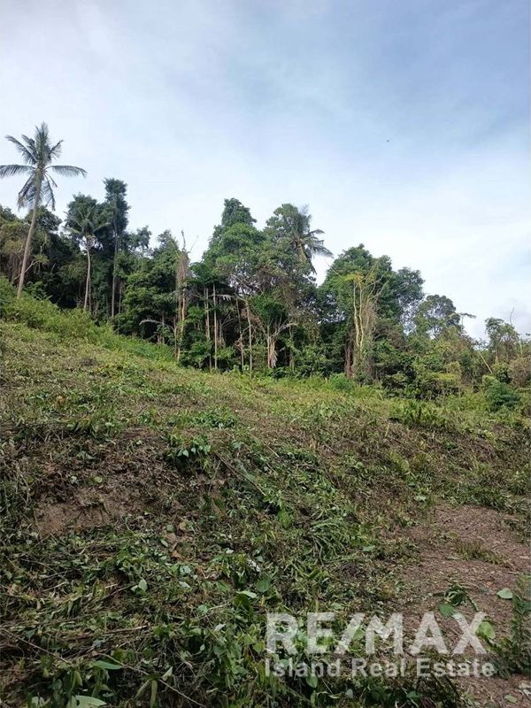  Image 8