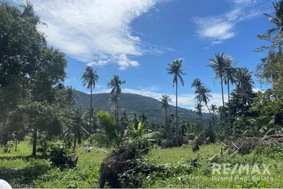 prime-5480-sqm-land-lease-koh-samui-kt083-32