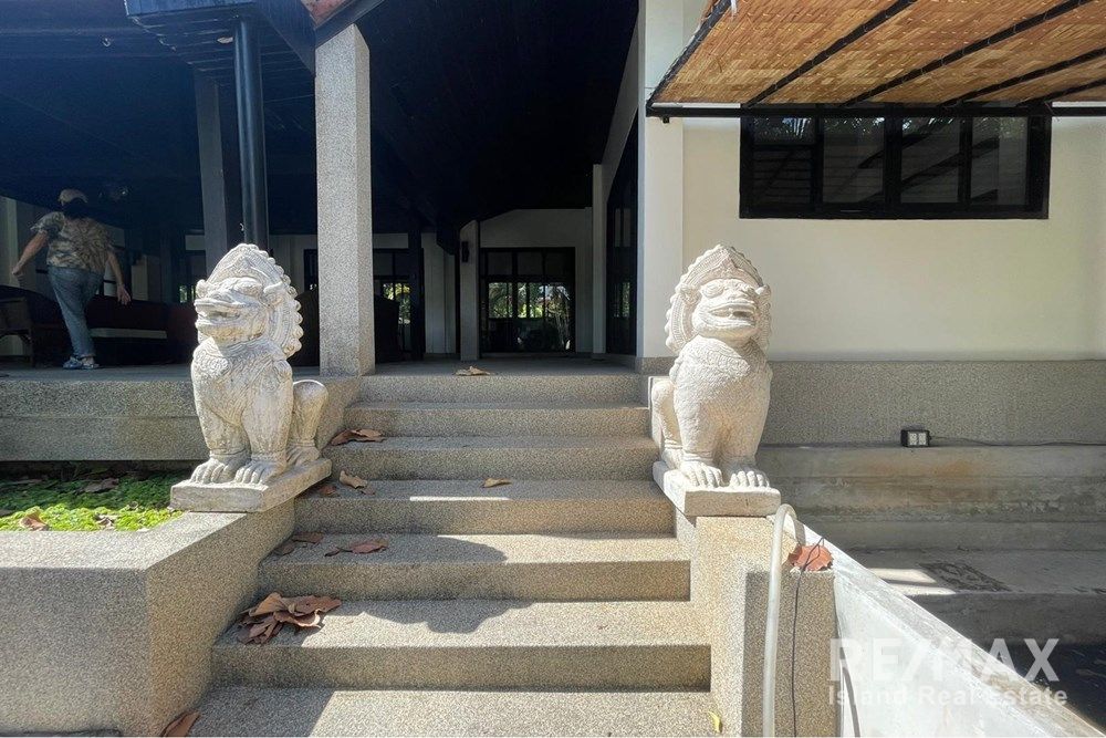  Image 11