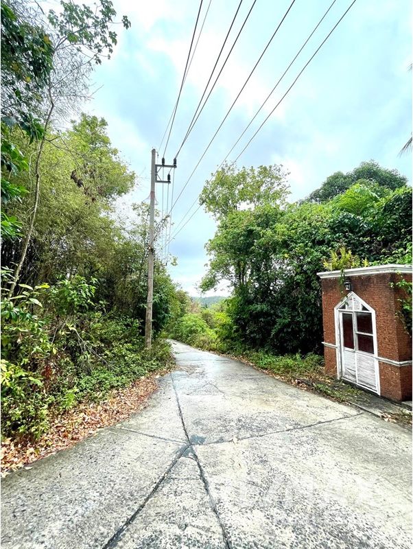  Image 12