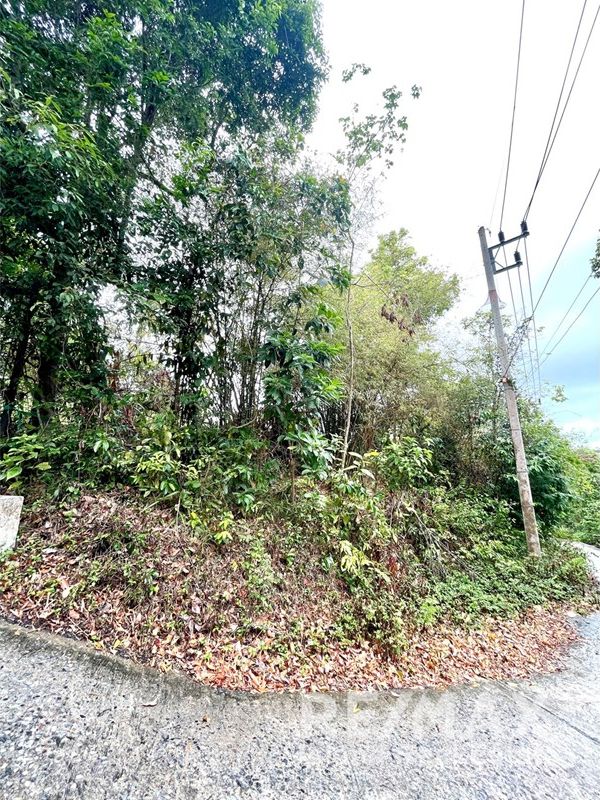  Image 13