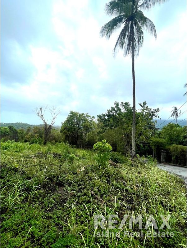  Image 4