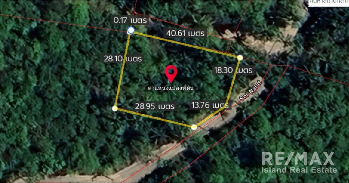  Image 4