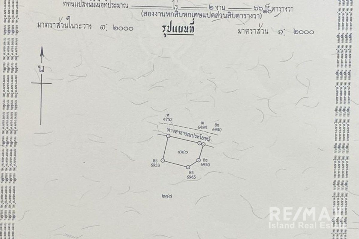  Image 6