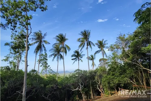 sea-view-land-for-sale-or-na-mueang-koh-samui-kt083-90