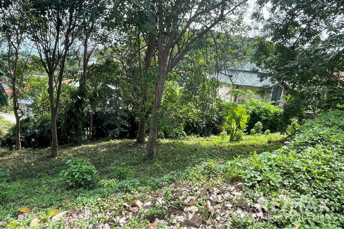  Image 4