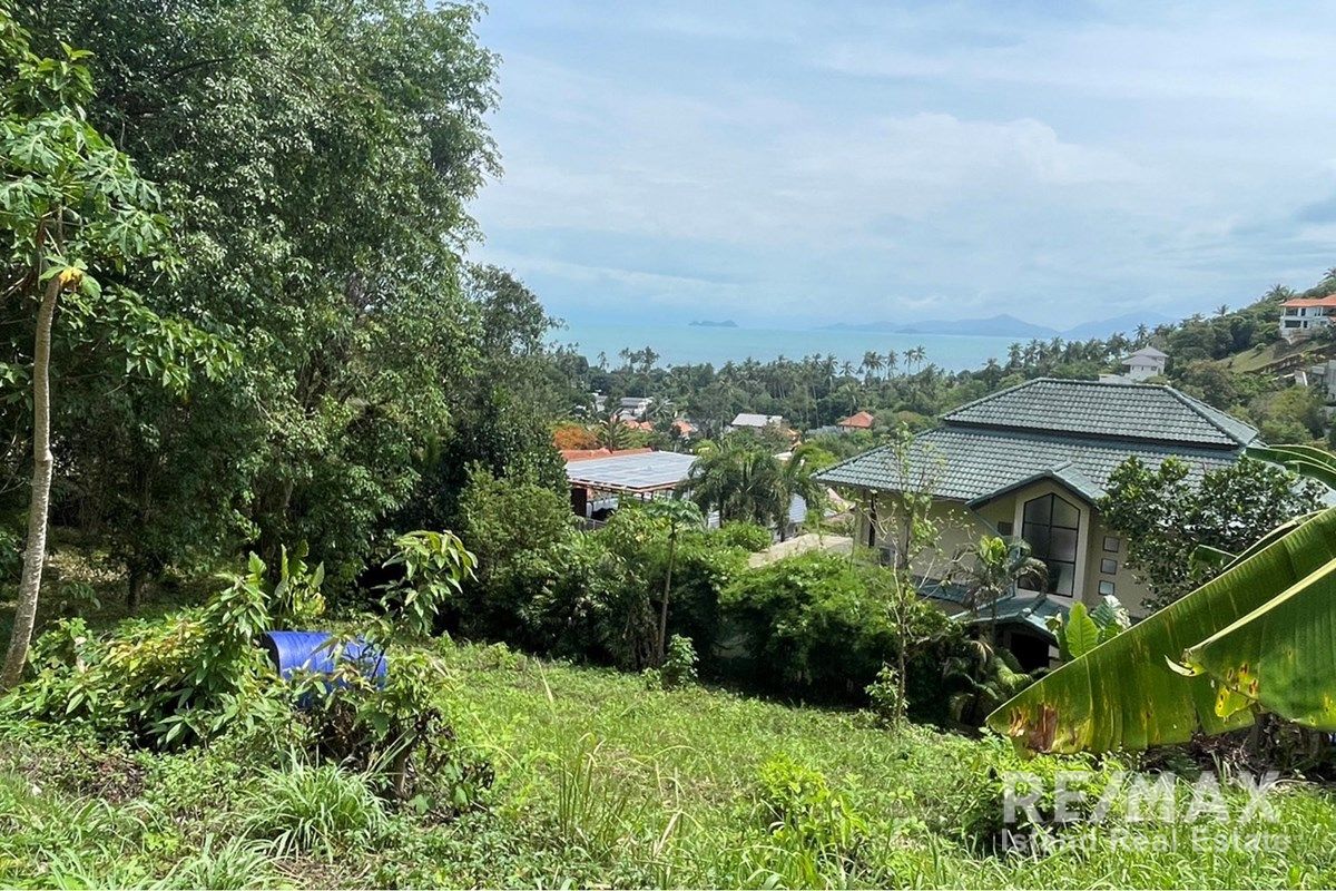  Image 6
